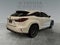 2019 Lexus RX 350 F Sport