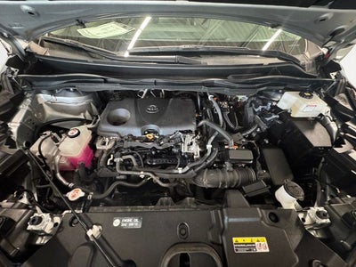 2021 Toyota Sienna XLE 8 Passenger