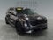 2025 Kia Carnival SX